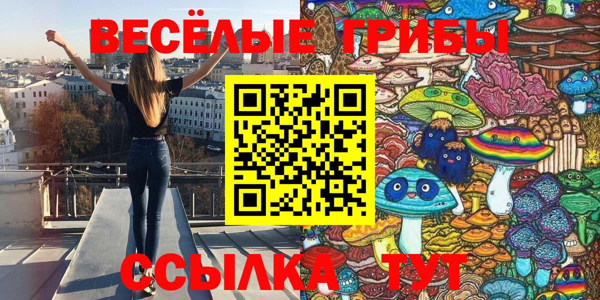 Жигулёвск  Псилоцибиновые грибы мицелий  закладки  Вход с VPN 